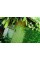 Огорожа TENAX RANCH зелена, 50х2 м (вічко 27х42 мм, щільність: 140 г/м.кв)
