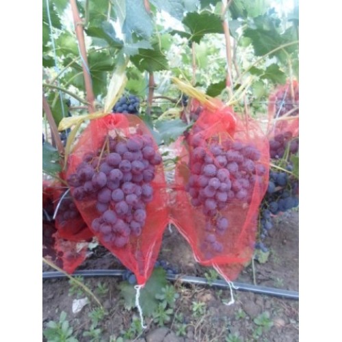 Сетка-мешок для винограда 2 кг, 22х33 см, зеленая - Agreen