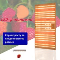 Світлодіодна квантова плата AD1W-100-1DL12 (мала)