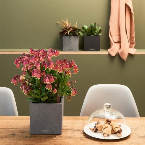 Кашпо CANTO Stone 14 сірий камінь