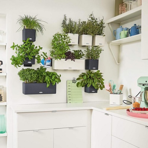 Кашпо Green Wall Home Kit Color білий