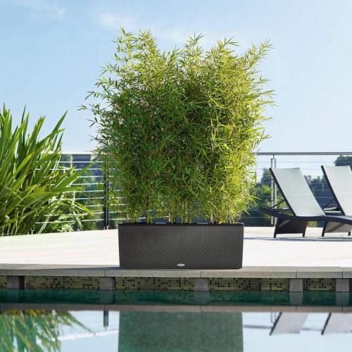 Кашпо TRIO Cottage 30 граніт