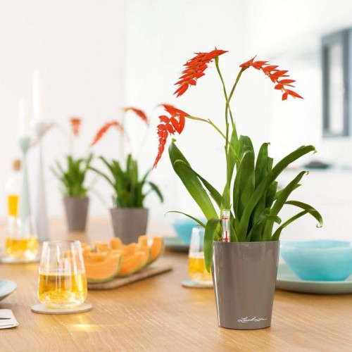 Кашпо MINI DELTINI антрацитовий металік