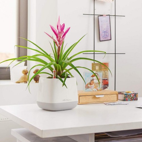 Кашпо YULA білий/сірий