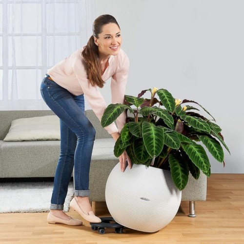 Ролики для мобільного озеленення CLASSICO 50, QUADRO 50, CANTO 40, CUBE 40, CURSIVO 40