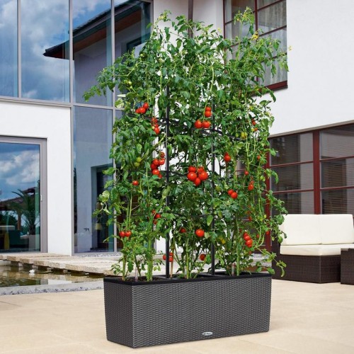 Решетки с изгибом для TRIO 40