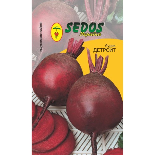 Буряк Детройт (100 дражованого насіння) - SEDOS