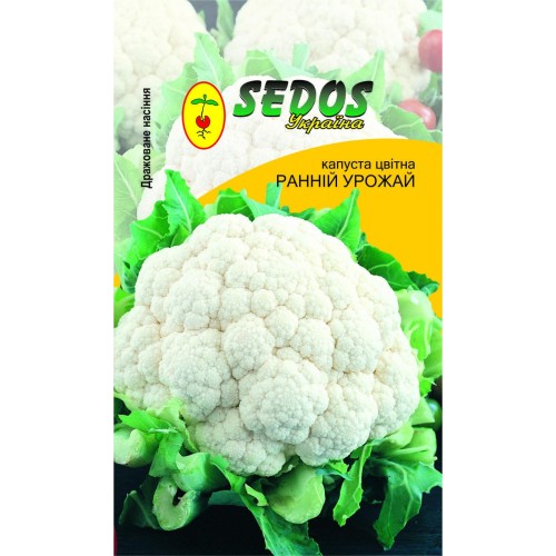 Капуста цветная Ранний урожай (100 дражированных семян) -SEDOS