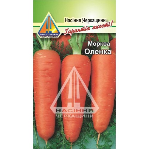Морква Оленка (ваговий, ціна за 1 кг)
