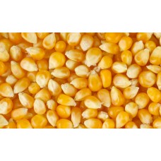 Кукуруза зерновая Любава 279 МВ (1000 г)