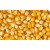 Кукурудза зернова Кадр 267 МВ (1000 г)