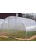 Теплиця "Садовод Агро-1м" з профільованої оцинкованої труби 20х20 мм під полікарбонат, каркас, розмір: 3х8х2 м