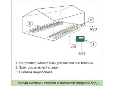 Как организовать автоматический полив в теплице своими руками