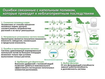 Эффективность капельного полива: от чего зависит и как застраховаться от неудач