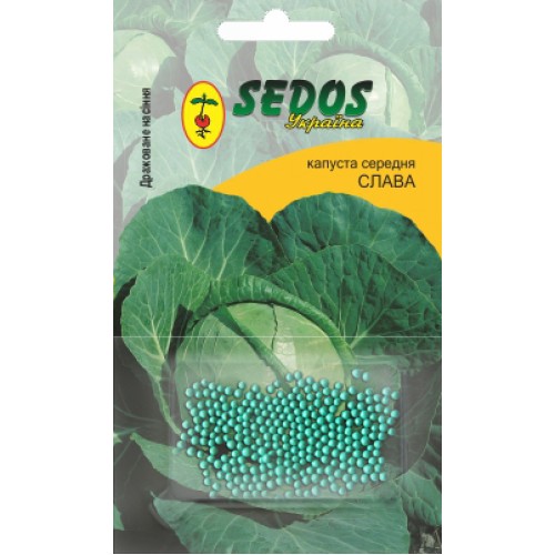 Капуста Слава (100 дражованого насіння) - SEDOS