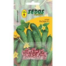 Огірки Льоша F1 (30 дражованого насіння) - SEDOS