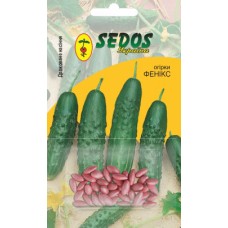 Огірки Фенікс (30 дражованого насіння) - SEDOS