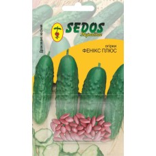 Огірки Фенікс плюс (30 дражованого насіння) - SEDOS