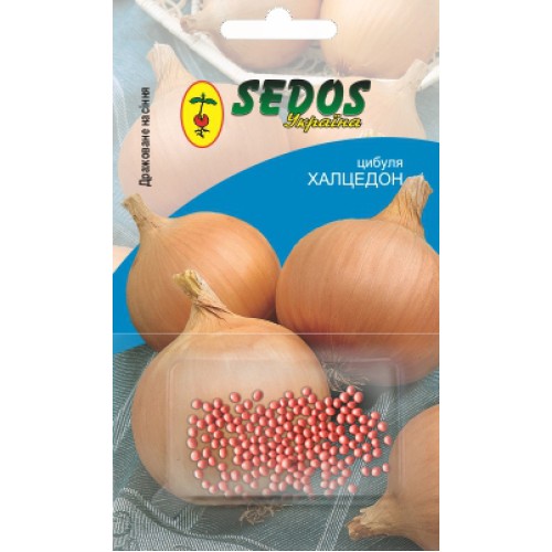 Цибуля Халцедон (200 дражованого насіння) - SEDOS