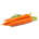 Семена моркови